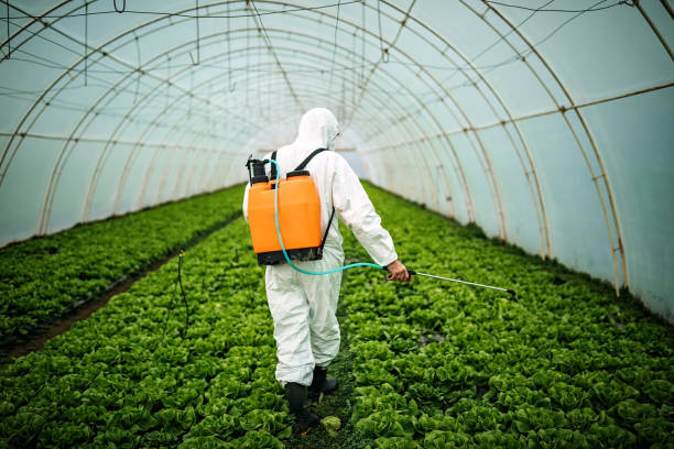 Best Best Pest Control Companies  in Gardendale, TX
