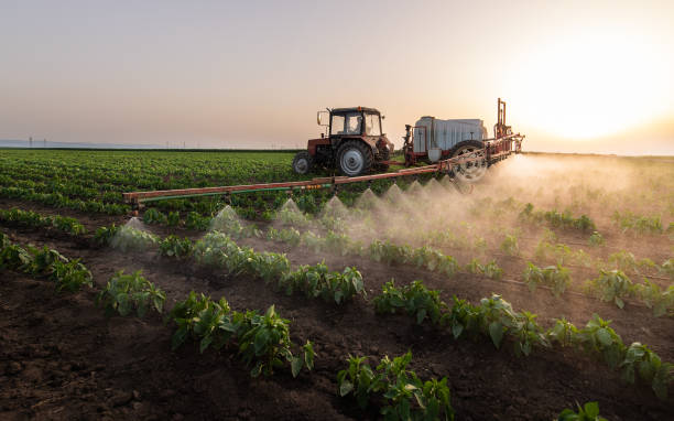 Best Mosquito Control Services  in Gardendale, TX