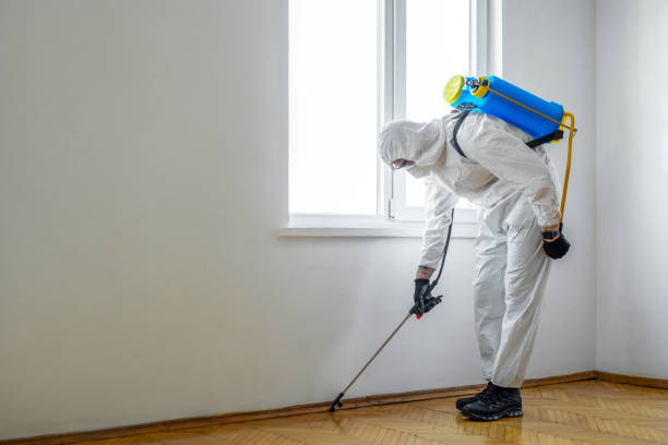 Best Local Pest Control Services  in Gardendale, TX