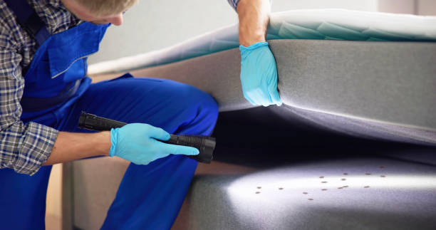 Professional Pest Control in Gardendale, TX