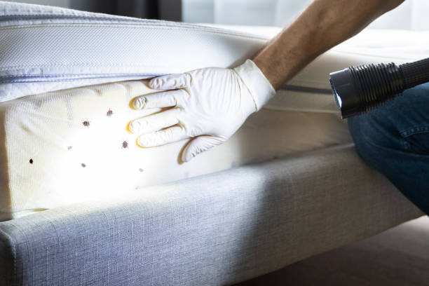 Best Exterminator Services  in Gardendale, TX