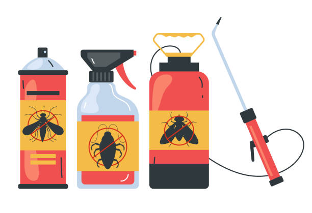 Best Insect Control  in Gardendale, TX