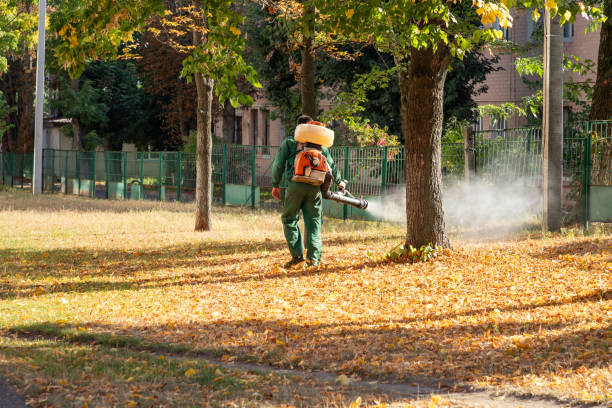 Best Wasp Removal Services  in Gardendale, TX