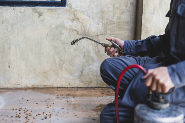 Best Rat Extermination Near Me  in Gardendale, TX